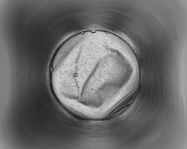 X0000096161142200802151409