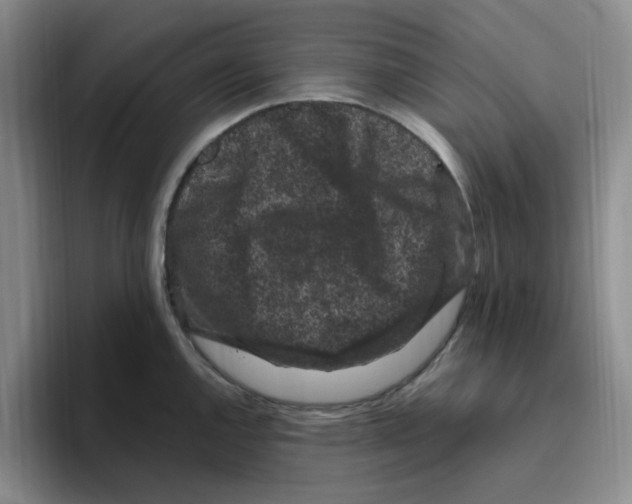 X0000096161144200802151409