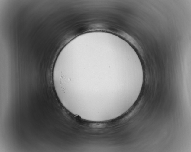 X0000096161145200802151409