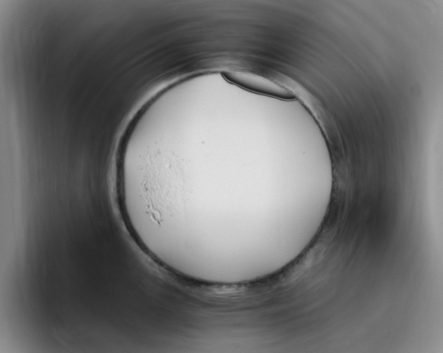 X0000096161147200802151409