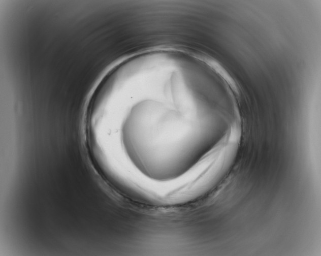 X0000096161148200802151409