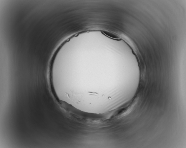 X0000096161149200802151409