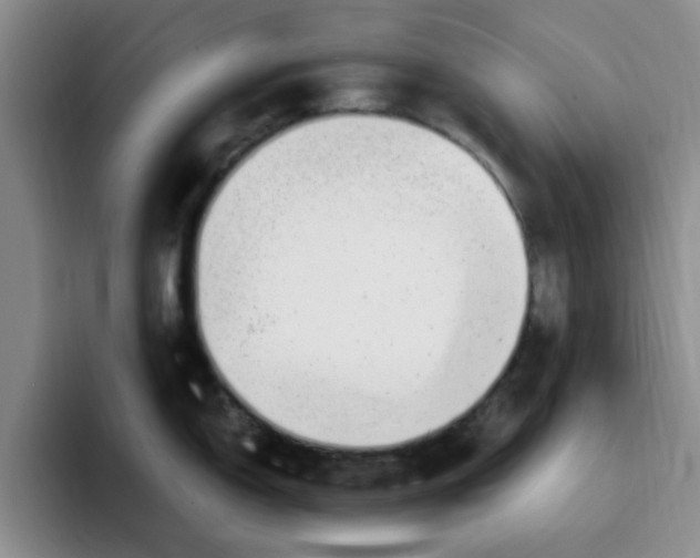 X0000096161150200802151410