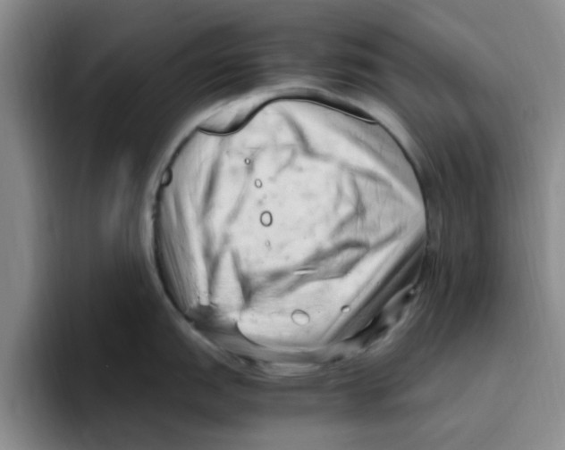 X0000096161151200802151410