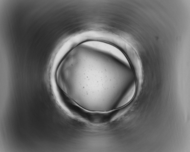 X0000096161152200802151410