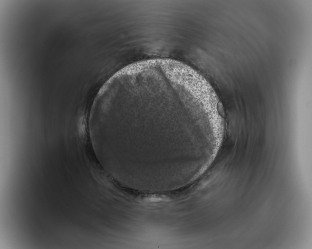 X0000096161154200802151409