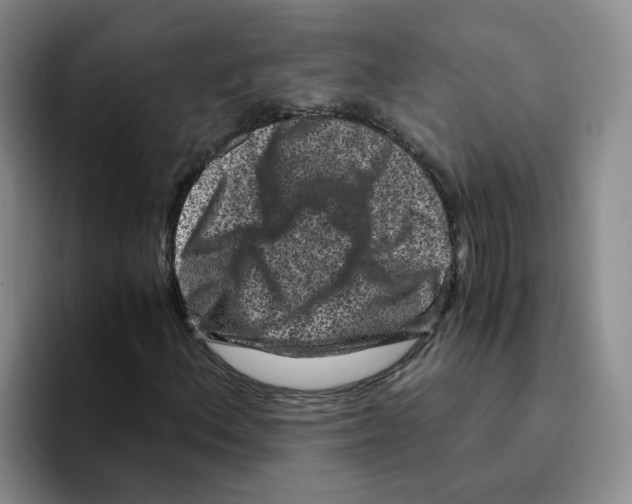 X0000096161156200802151409