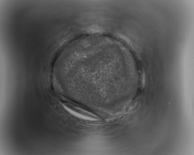 X0000096161157200802151409