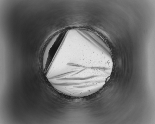 X0000096161160200802151409