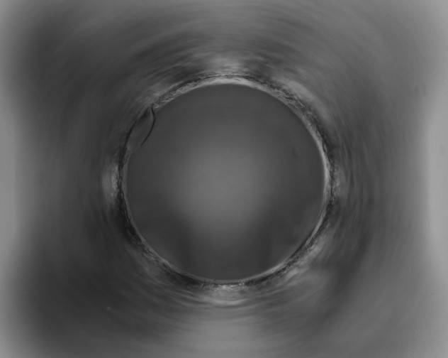 X0000096161161200802151409