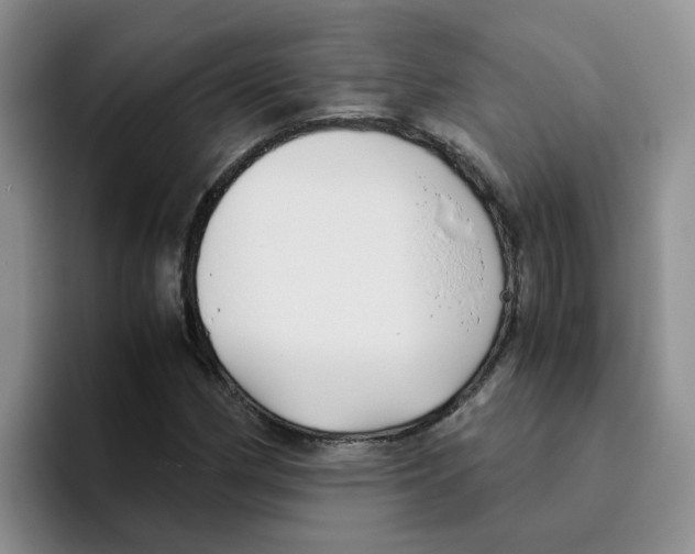 X0000096161162200802151409