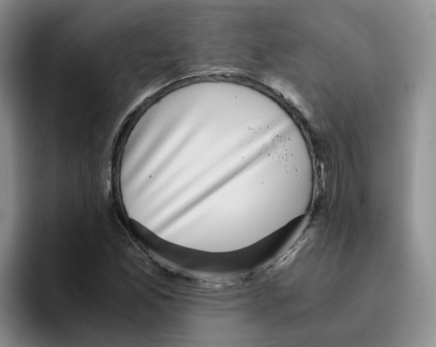 X0000096161165200802151409