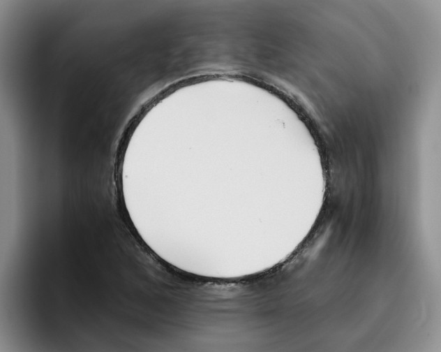 X0000096161168200802151409