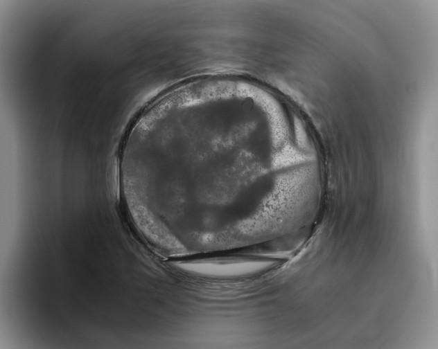 X0000096161171200802151409