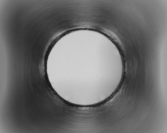 X0000096161172200802151409