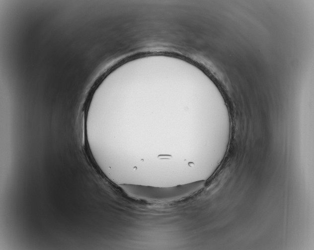 X0000096161175200802151409