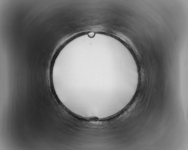 X0000096161176200802151409