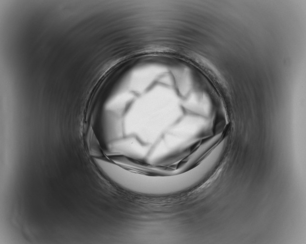 X0000096161177200802151409