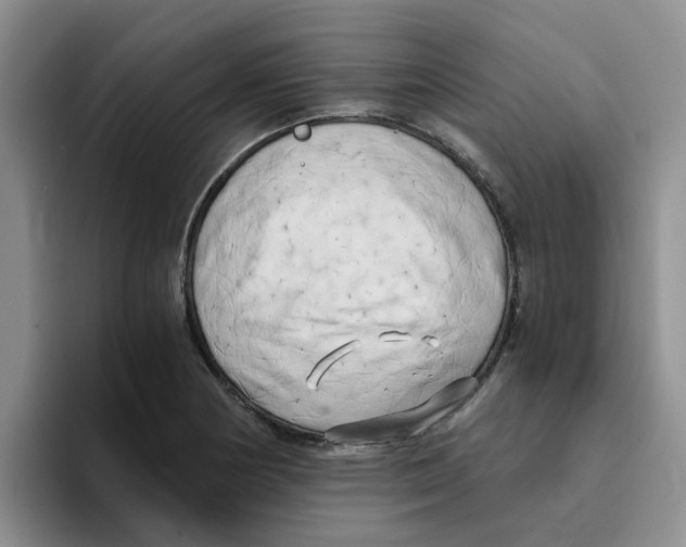 X0000096161178200802151409