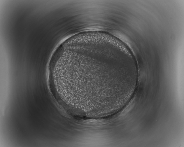 X0000096161179200802151409