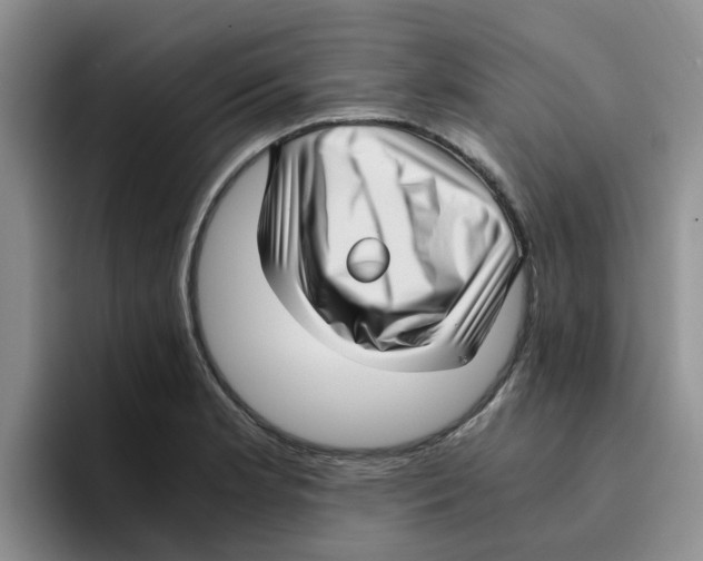 X0000096161181200802151409