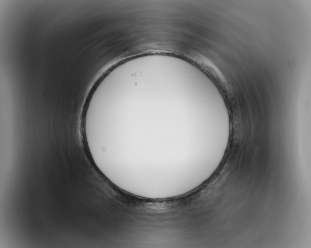 X0000096161182200802151409