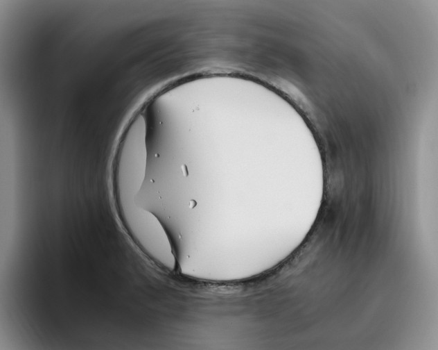 X0000096161183200802151409