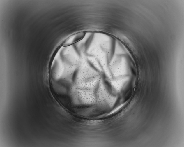 X0000096161184200802151409