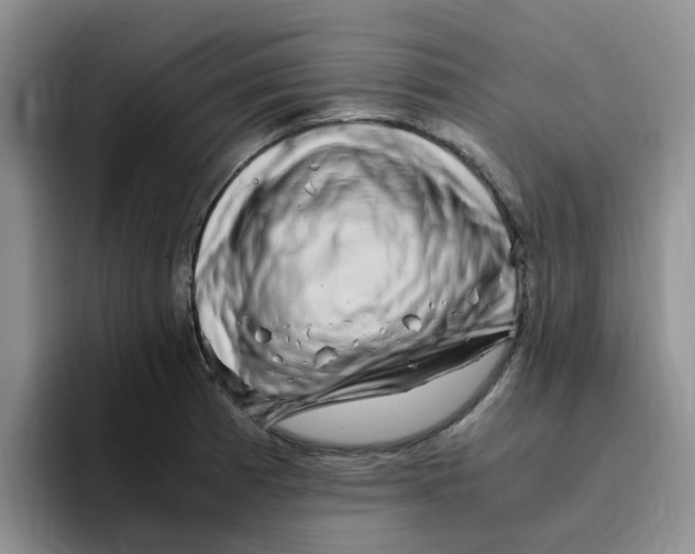 X0000096161185200802151408