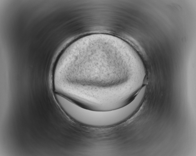 X0000096161188200802151408