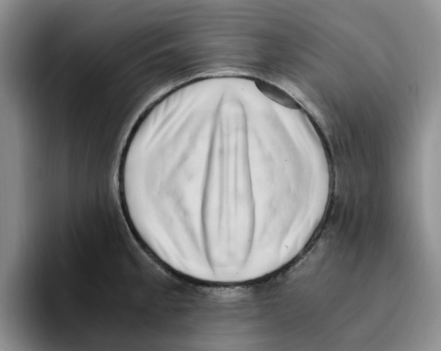 X0000096161189200802151408