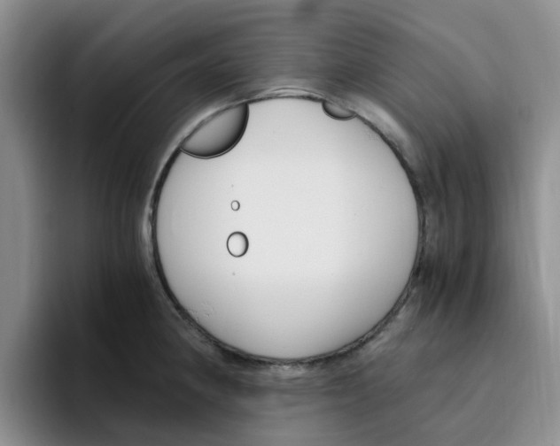 X0000096161190200802151408