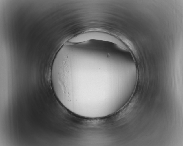 X0000096161193200802151408