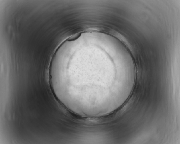 X0000096161194200802151408