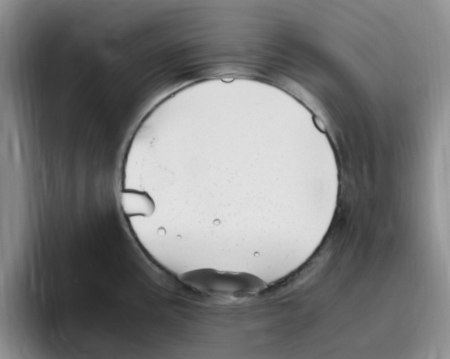 X0000096161195200802151408