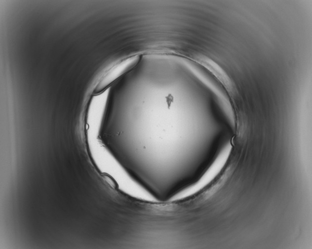 X0000096161196200802151408