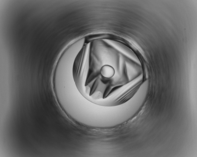 X0000096161197200802151408