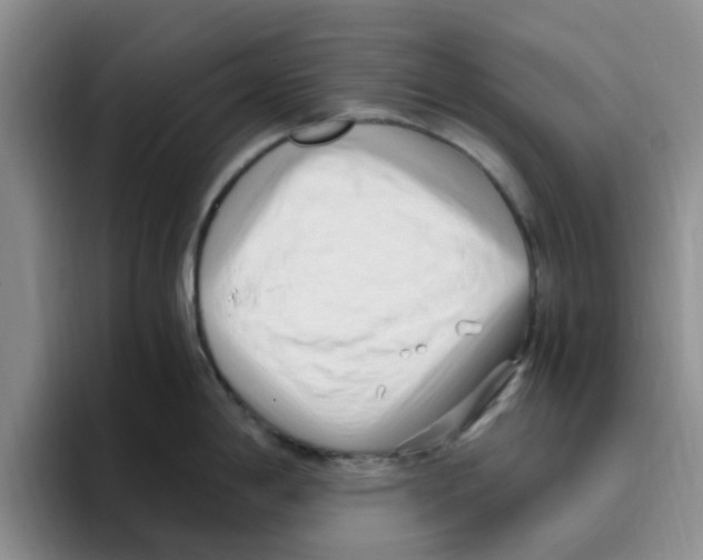 X0000096161198200802151408