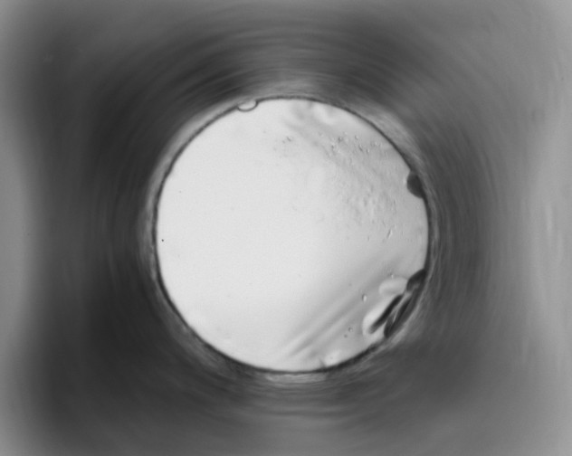 X0000096161200200802151408