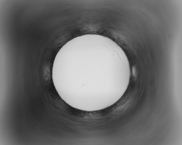 X0000096161203200802151408