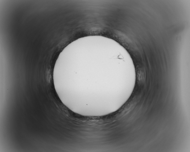 X0000096161204200802151408