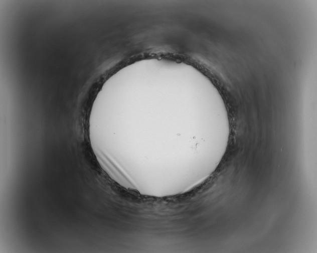 X0000096161207200802151408