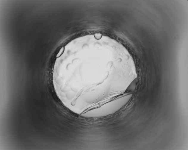 X0000096161208200802151408