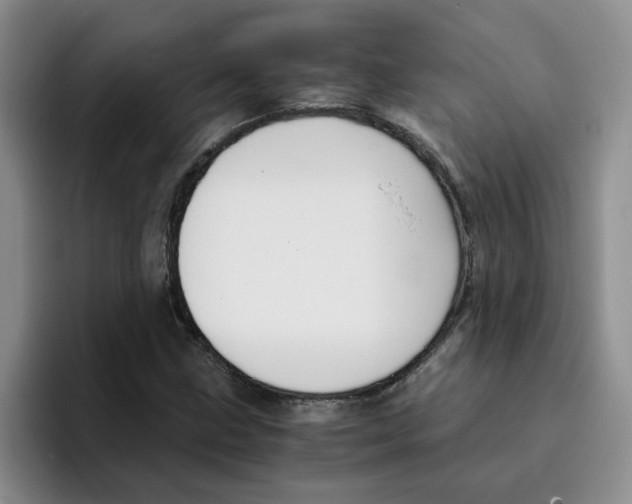 X0000096161211200802151408