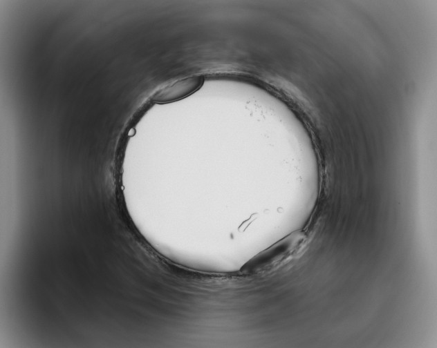 X0000096161212200802151408