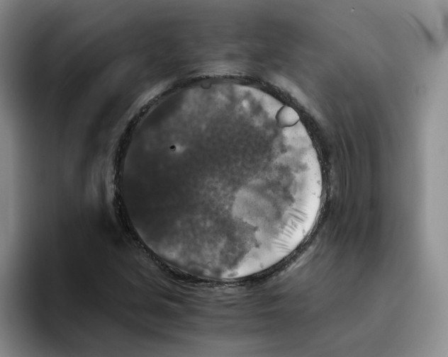 X0000096161213200802151408