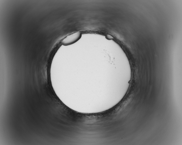 X0000096161214200802151408