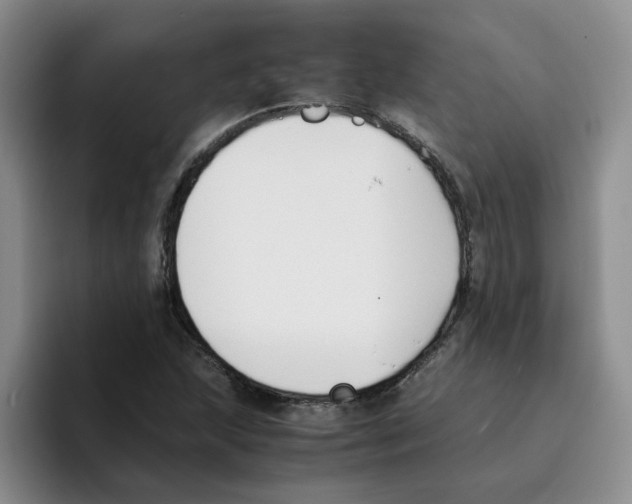 X0000096161215200802151408