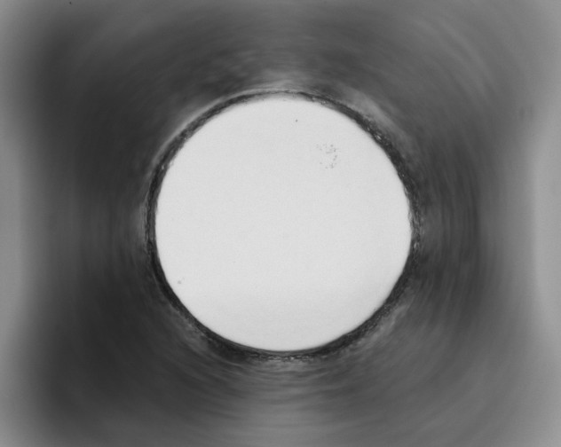 X0000096161216200802151408