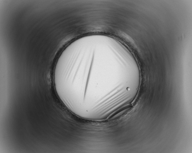 X0000096161218200802151408